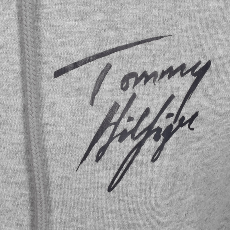 Alternative Image for ProductTommy Hilfiger Full Zip Hoodie Grey3